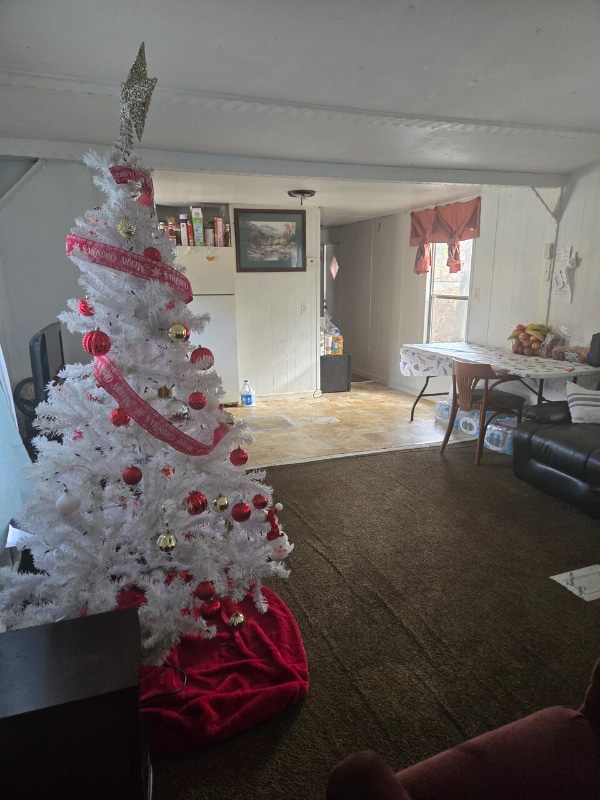 Photo - 1075 Sweeten Creek Rd