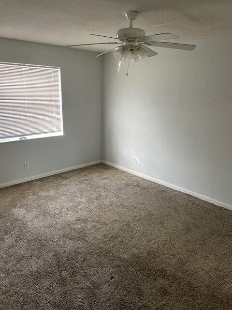 Photo - 355 Sunshine Dr