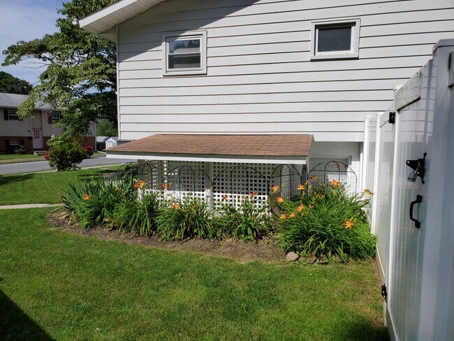 Photo - 802 E Chew St Unit Apt A