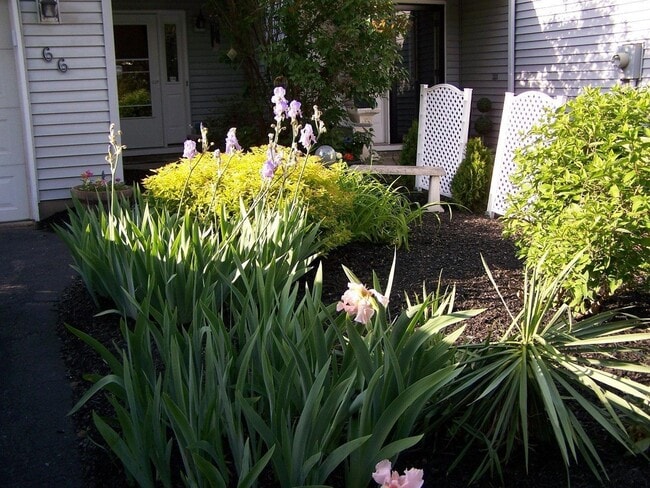 Photo - 66 Tallow Wood Dr