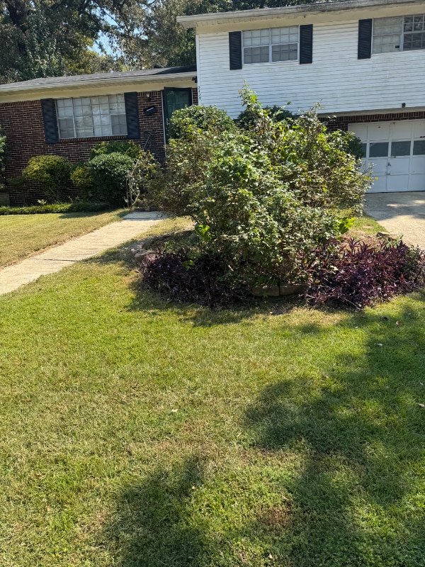 Photo - 2425 Etowah St