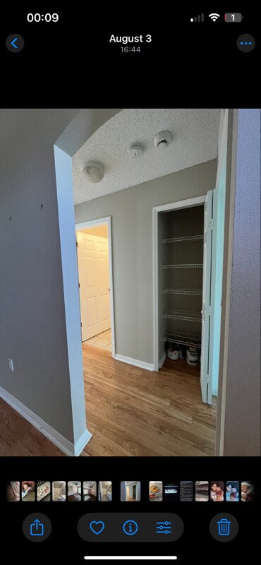 Photo - 226 Tree Branch Ln