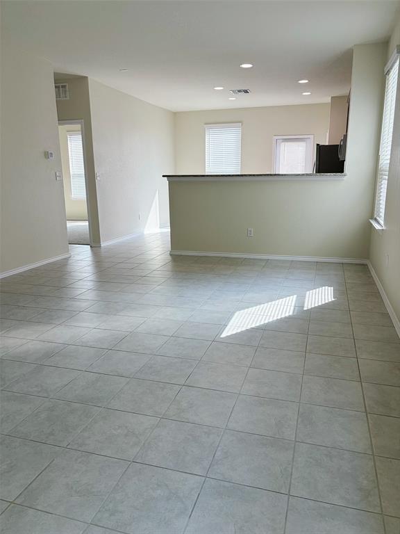 Photo - 351 Mistflower