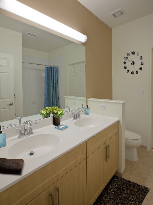 Avalon White Plains Apartments For Rent in White Plains, NY