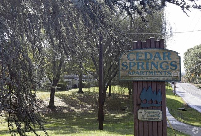 homes for rent near cedar springs mi