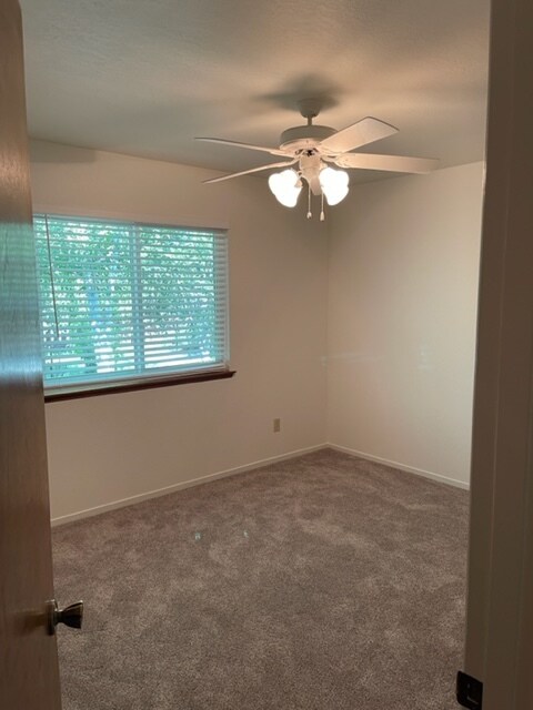 Photo - 8010 Santa Ynez Ave