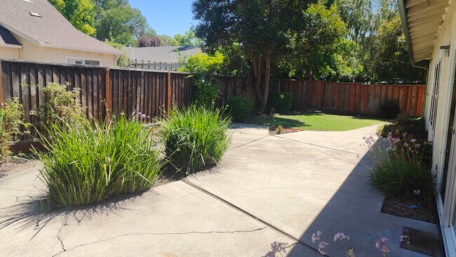 Back Yard - 3986 Fairlands Drive