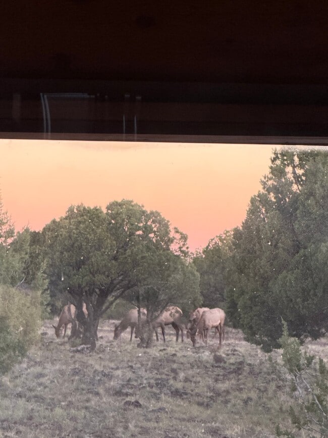 Photo - 236 Co Rd 3144