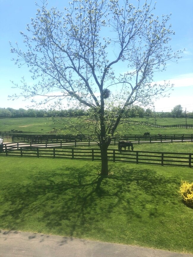 Photo - Kentucky mansion overlooking horse farm with stunning views 260323