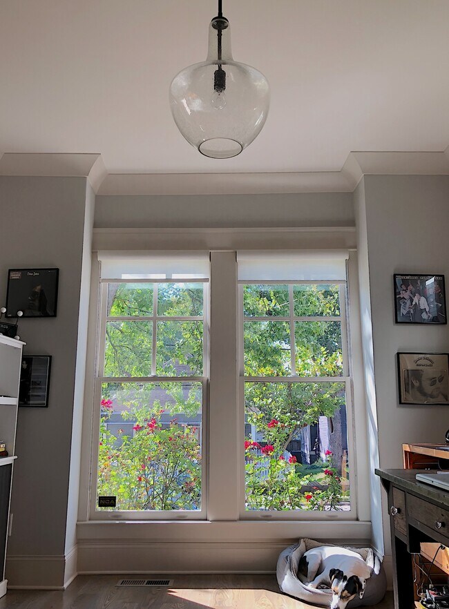 Photo - 313 S 17th St