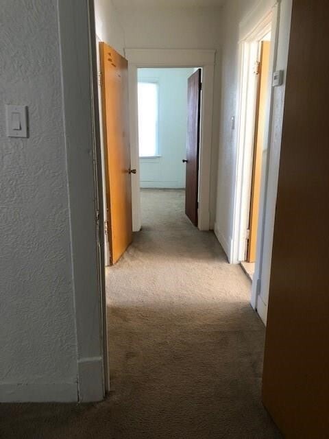 Photo - 20 Miriam St