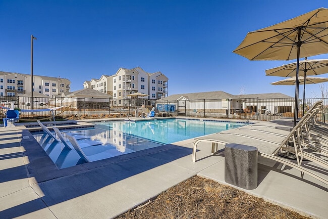 The Gallery Swimming Pool - The Gallery Modern Apartments