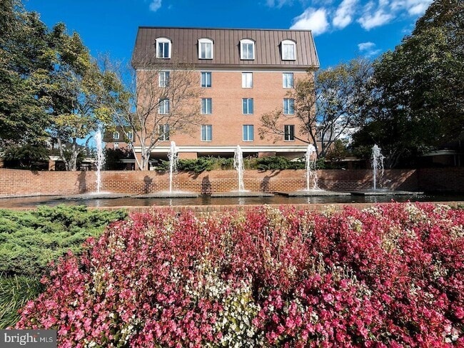 Building Photo - 8101 Connecticut Ave Unit S701 Rental