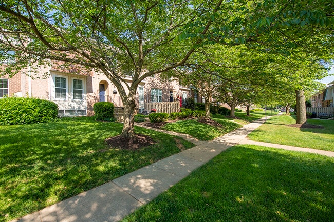 The Ivy at Rockville