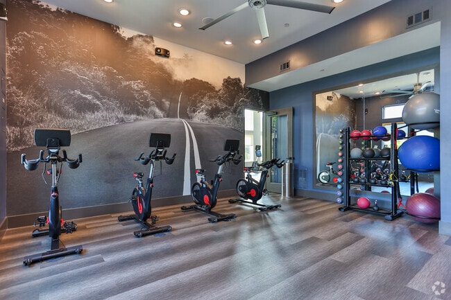 Gimnasio