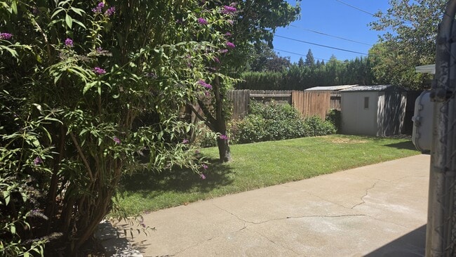 Photo - 888 Glenn St