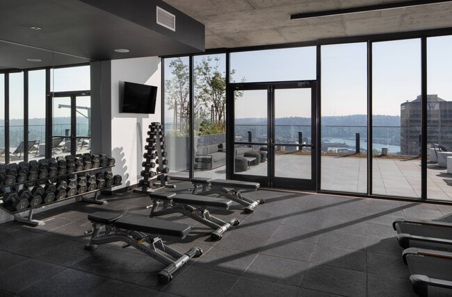 Photo - The M Seattle