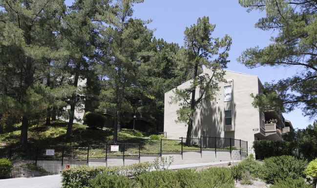 Photo - Moraga Terrace