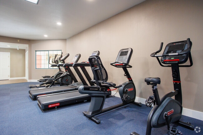 Fitness Center Cardio Room - Cinnamon Tree