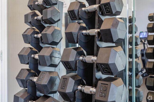 Fitness Center Equipment
