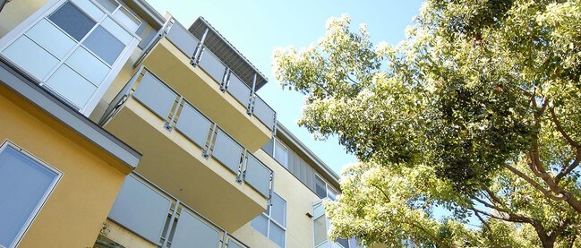 Photo - PR SM Livorno LLC