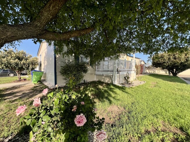 Photo - 11555 Culebra Rd