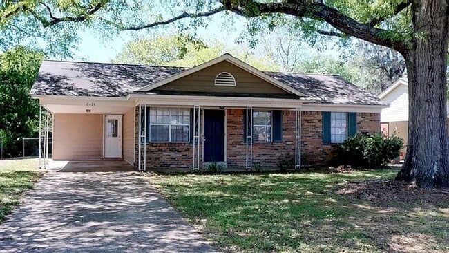Building Photo - Newly Renovated 3 bed 1 bath in Southaven MS