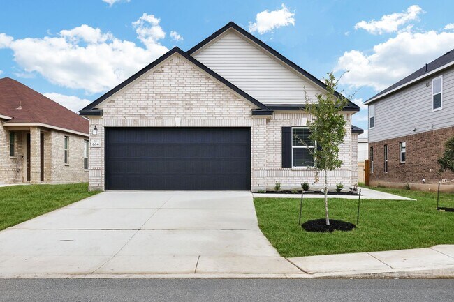 Photo - 614 Eucharis