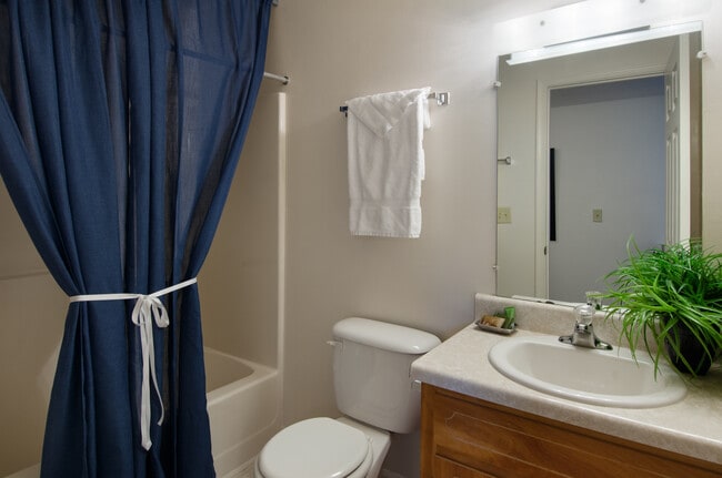 Scott's Run Apartments & Townhomes