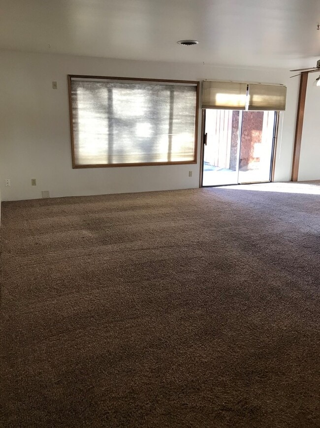 Photo - 205 Daley Dr