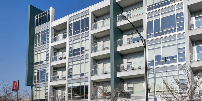 Little Italy Apartments For Rent Chicago Il Forrent Photo Luxe On Madison