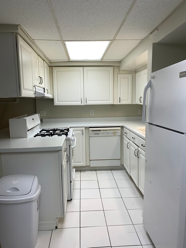 Kitchen - 1321 W Thorndale Ave Unit 1 Garden