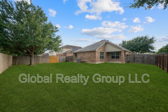 Photo - 3113 Muntjac