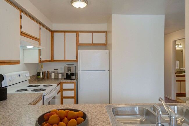 Building Photo - 2 Bedroom 1 Bath Unit 269-52 Rental