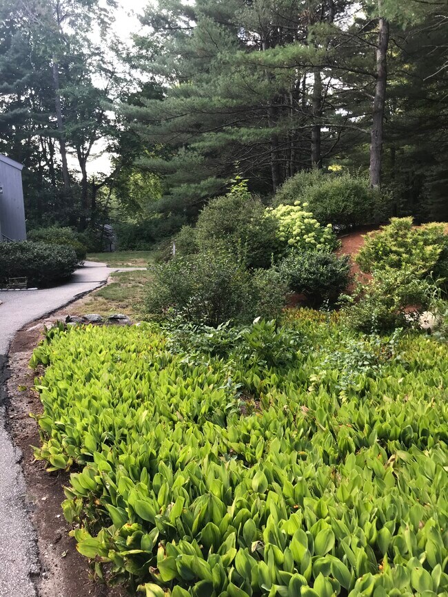 Photo - 42 Brookside Dr