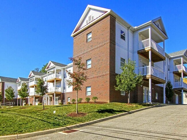 Beautifully maintained, secure, modern, 5 year old building - 234 Washington Ave Unit Cardinal Apartments #210