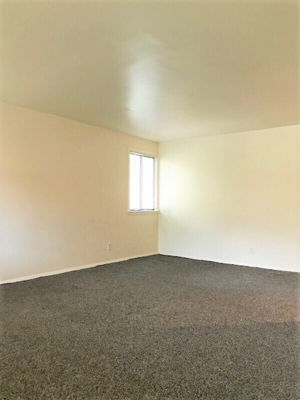 Photo - 3924 Stone Gate Dr