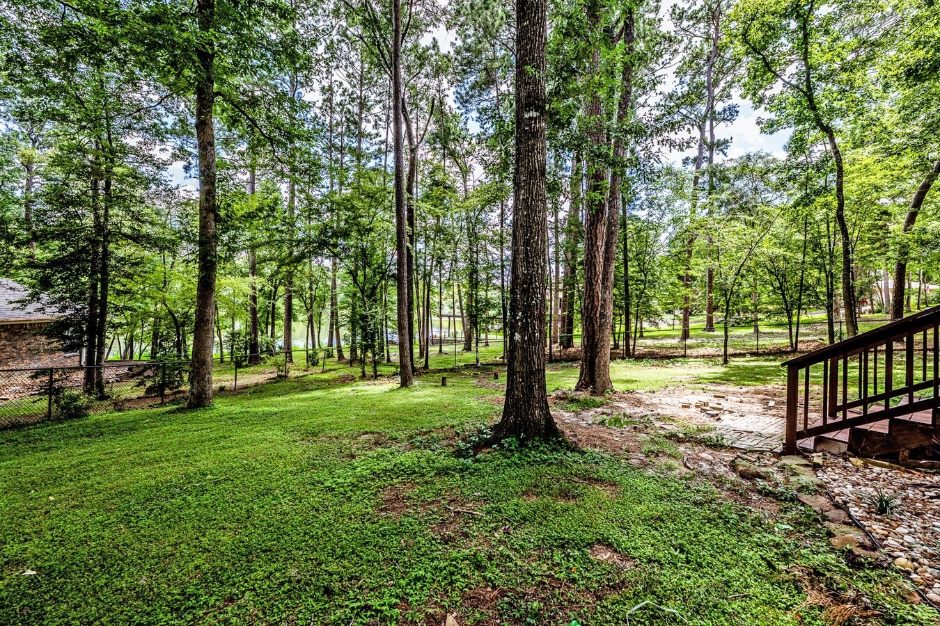 Photo - 1801 Camellia Ct House