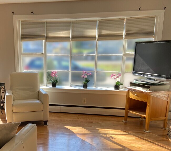 Living Room - 110 Dobson St Unit UL