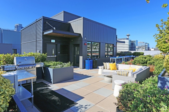 Photo - Fox and Finch