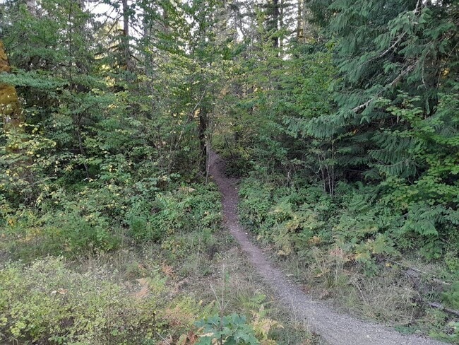 Photo - Country Setting Single Wide Manufactured H... Unidad Space-8-MH