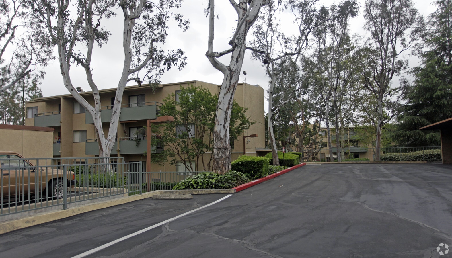 Photo - Sycamore Terrace