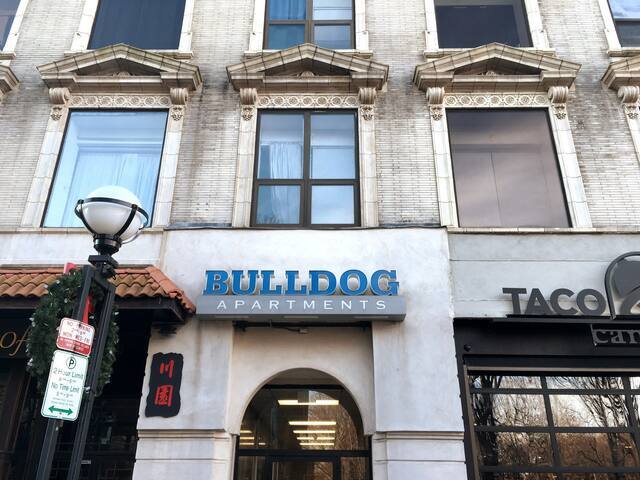 Bulldog Apartments - Bulldog Apartments