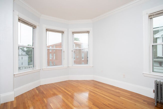 Living room/bedroom 4 - 17 Bellflower St Unit 3