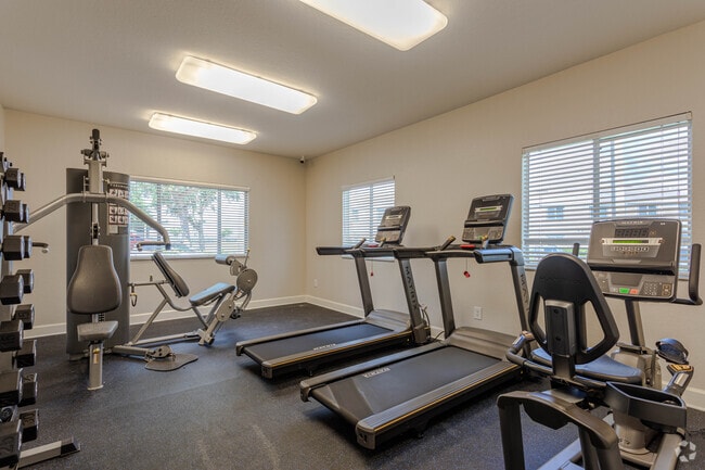 Gimnasio