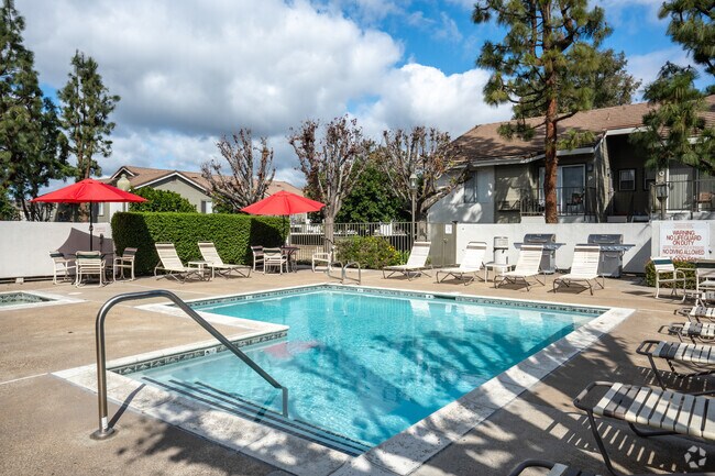 Pool area
