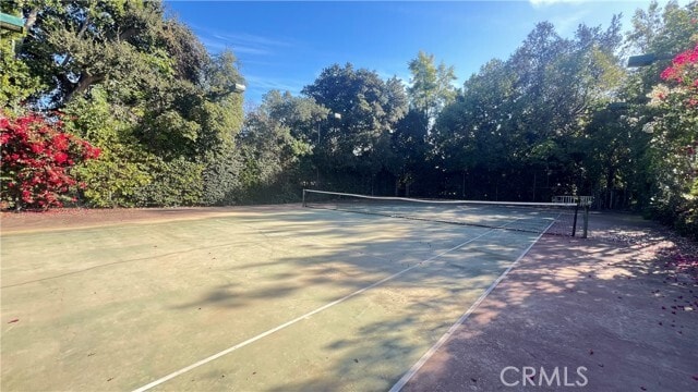 Photo - 2830 E California Blvd