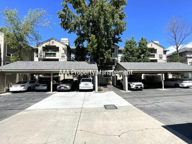 Building Photo - Walnut Creek Condo near Bart! Gorgeous 2 bedroom 2 bath in fantastic location! Unit #204