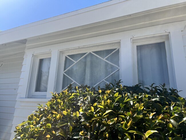 Photo - 1423 Canyon Rd