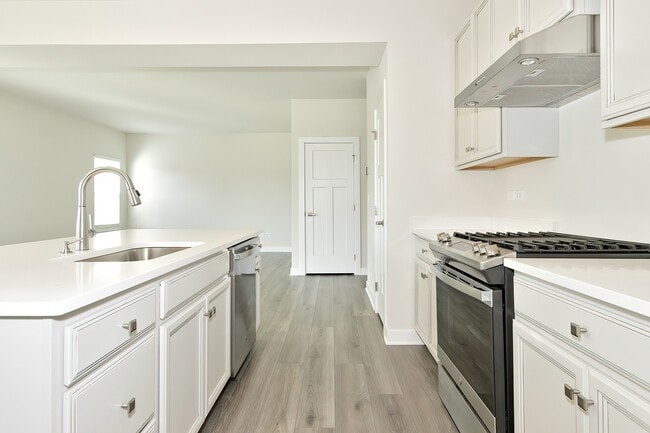 Modern Kitchen Elegance